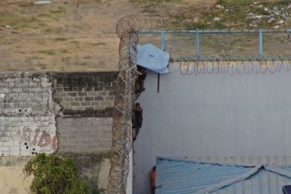 Para llegar a las partes altas de los pabellones utilizan escaleras angostas.