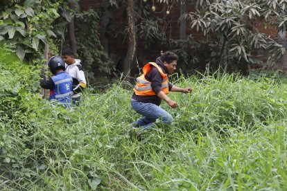 Los 'panas' se metieron hasta en matorrales.