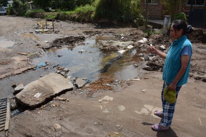Miles de litros de agua de riego se desperdician por la rotura de un tubo.