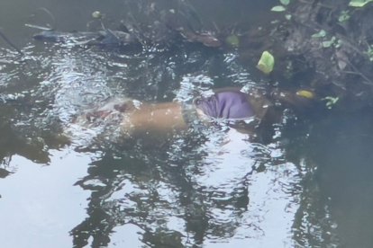 Se indaga las circunstancias de la muerte.