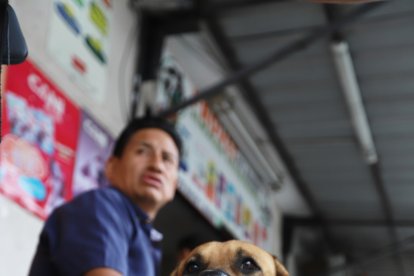 El perrito es un ‘bacán’. Sus dueños están más que contentos con sus aventuras.