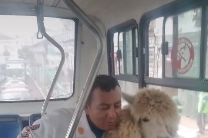 ag-periodistas-quito