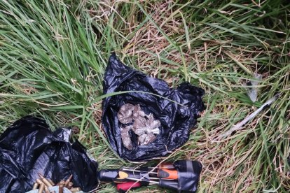 La evidencia la encontraron cerca de la garita 3.