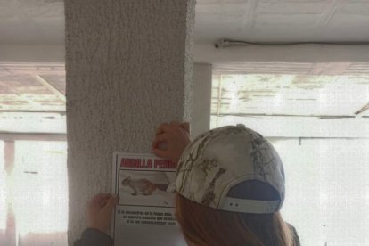 Cristina pegó volantes para buscar a su ardilla, que escapó tras escuchar un ruido.