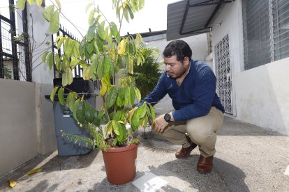 Esta planta fue un proyecto escolar de Sebastián. Su familia la conserva como un tesoro.