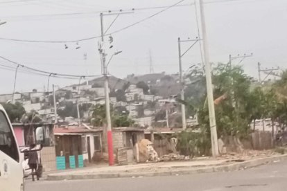 En esa ruma de bloques de cemento estaba el árbol de 13 metros que solo duró dos años. Se llevaron hasta el fierro.