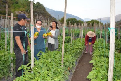 En Patate se promueve el turismo agroindisutrial.