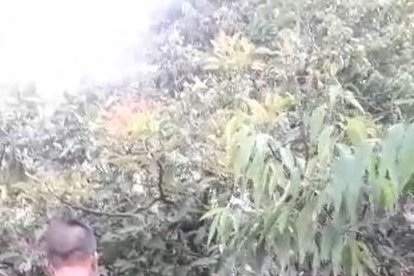 Durante los hallazgos, los policías fueron al lugar para investigar.