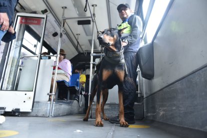 Dentro de las unidades también realizan patrullajes caninos.