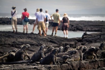 El turismo en Galápagos esta a 1 % de llegar a las cifras prepandemia