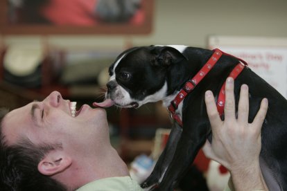 Según expertos, los animales pueden generar una fuerte conexión con sus dueños.