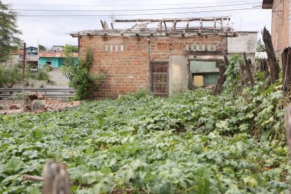 EN LA PARROQUIA PROGRESO LOS CONSUMIDORES DE LA HEROINA CADA DIA SON ALARMANTE PERIODISTA : GUSTAVO MOLINA FECHA : 20/01/2023 Agencia (ag-extra)