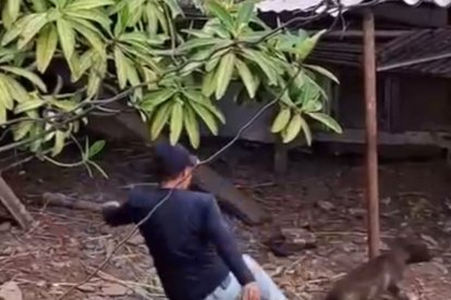 El animalito fue pateado y lanzado contra el suelo dentro de su casa.