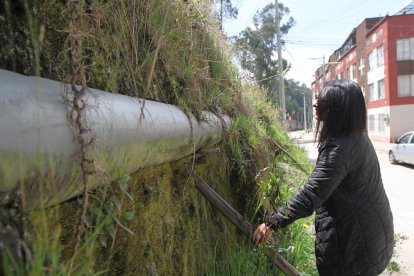 Los moradores pusieron palos para intentar contener la caída de tierra.