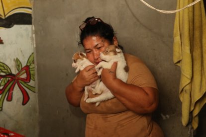 Aunque no tenía ni para comer, Catalina recogía perros de la calle.