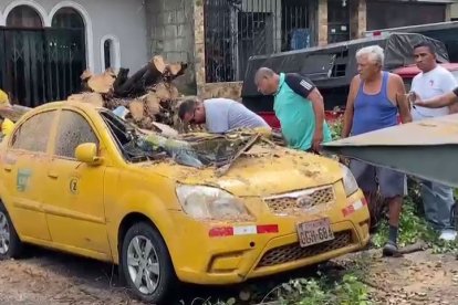 El dueño y el conductor observan cómo quedó el taxi tras ser aplastado por un árbol.