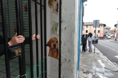 En la mayoría de locales hay rejas por seguridad.