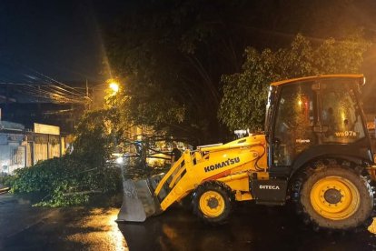 Las fuertes lluvias han provocado deslaves y la caída de varios árboles, bloqueando algunas vías.