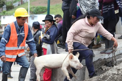 La gente estaba tan desesperada que hasta fue a buscar a sus animalitos.