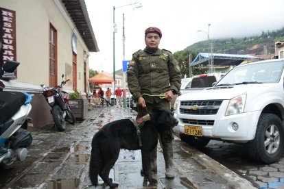 Sandra Ascaribay puso en práctica sus conocimientos de scout, junto a su perro.