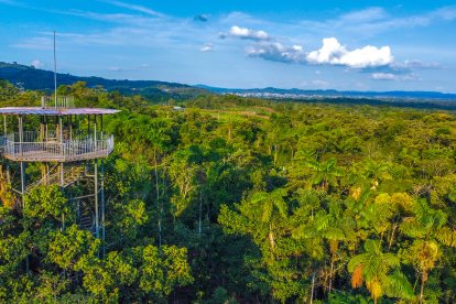 Desde el mirador se obtiene una vista panorámica de la selva de la Amazonía.