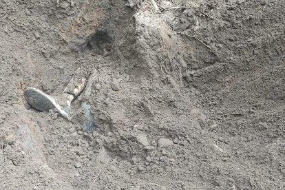 Un perro olfateó el sitio donde habían enterrado a las jóvenes.