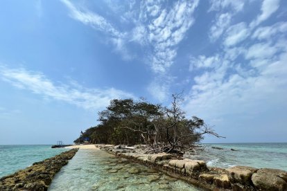 La isla tiene una capacidad para albergar a 500 personas, pero solo se permiten hasta máximo a 40 en simultáneo para generar menos basura