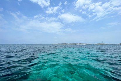 En isla Grande, Colombia, se ofrece a turistas el nado sobre corales para ver el impacto del calentamiento global