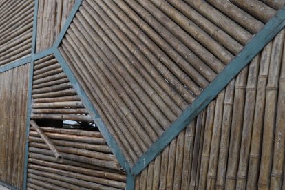 Los delincuentes dañaron las cañas para entrar.