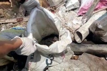 La cabeza fue encontrada en un saco, en una antigua escuela.