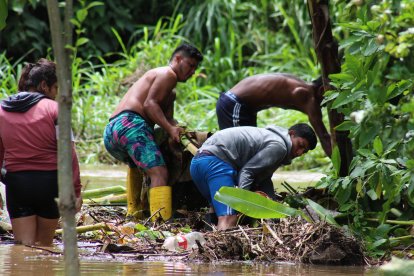 Los habitantes limpiaron un desfogue para que salga el agua de sus propiedades. Fue en las riberas del río Esmeraldas.