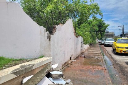 Esta pared de un colegio se vino abajo por el sismo del pasado 18 de marzo.