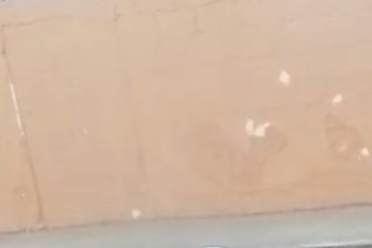 Para ‘sacrificarlo’, ambos tipos jalan la cuerda en diferentes direcciones. La mascota muere.