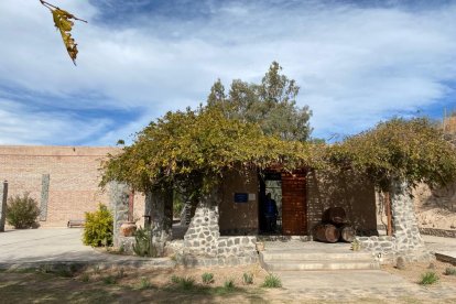 Los viñedos son uno de los atractivos de la ciudad que acoge a la Tricolor.