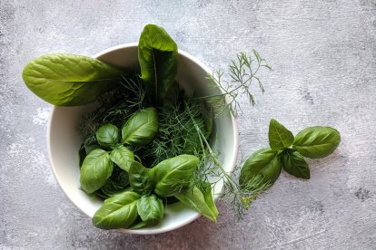 Su fuerte aroma ayuda a alejar a moscas y mosquitos.