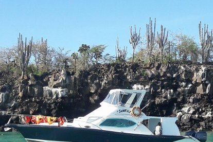 El bote Sunray, donde ocurrió el accidente que dejó una fallecida y varios heridos.