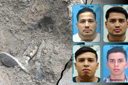 Cuatro procesados, dos están detenidos. Holger Vinicio Zambrano Paz, Andrés Marcelo Zambrano Paz, Omar Iván Ordóñez Espinel y Luis Fernando Vaca Bravo.