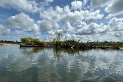 Solo el 30 de mayo ingresaron a Panamá por medio del Tapón del Darién 790 migrantes.