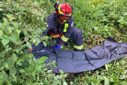Personal del Cuerpo de Bomberos acudió para colaborar en la emergencia.
