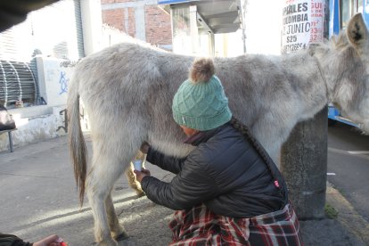 Cada mañana, desde lo alto de una montaña, llegan las personas que venden la leche de burra.