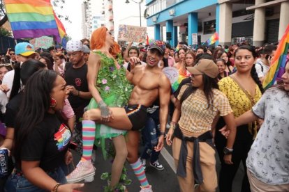 Se analiza cancelar el desfile por el Orgullo Gay.