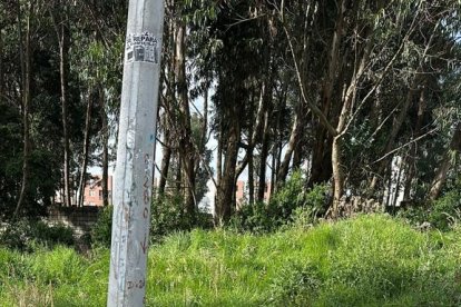 El hombre hallado sin vida en Quitumbe todavía no ha sido indentificado