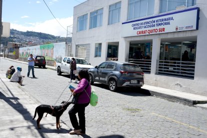 El animal fue llevado hasta un Centro de Atención Veterinaria, Rescate y Acogida Temporal.