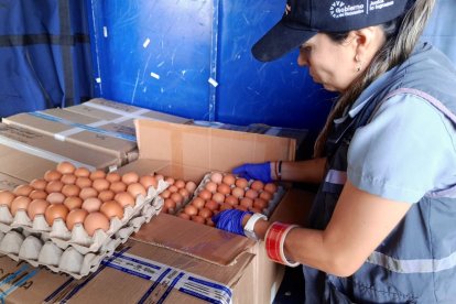 Para suplir la demanda y frenar la especulación en los precios, se enviaron 42 mil huevos a las islas.