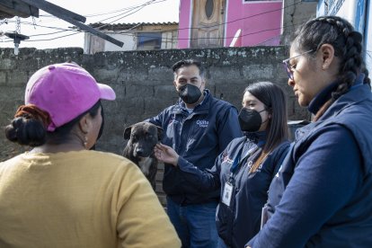 Al menos 80 perros han sido retirados de sus casas por la Unidad de Bienestar Animal por agresiones.