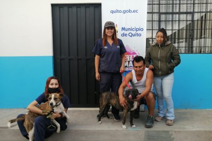 Sargento (derecha) fue adoptado la semana pasada luego de ser rescatado de sus antiguos dueños.