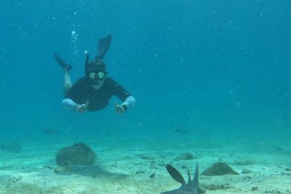 Muchos turistas acuden a las islas Galápagos para realizar esnórquel y buceo.