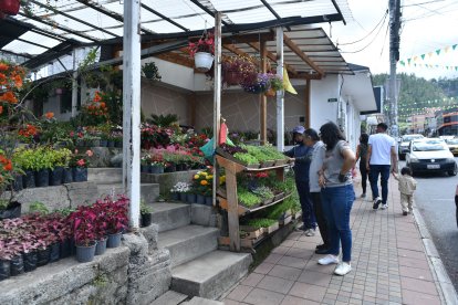 La venta de plantas ha hecho que Nayón se conozca como el Jardín de Quito.