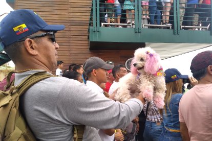 Los Sisalema fueron en ‘gajo’.  En el centro brilla Luz Pacheco (blusa celeste).