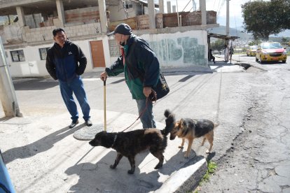 Nelson tiene dos perritos que lo han acompañado durante cinco años. Está dispuesto a pagar para que lo ayuden a registrarlos.
